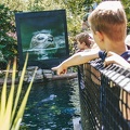 Windekind zomerklas zoo Antwerpen (199 van 262)