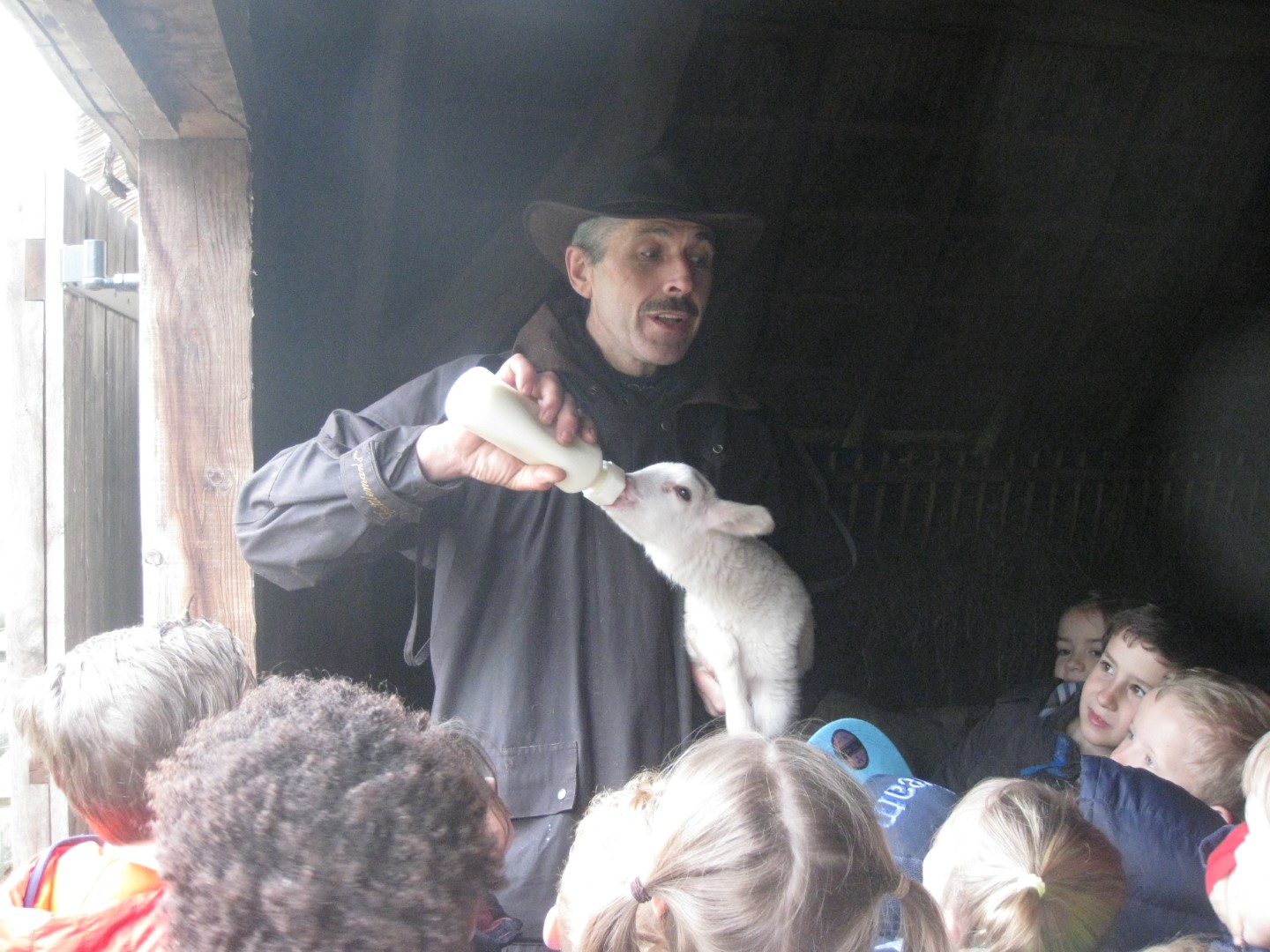 1ste leerjaar op bezoek in de schapenstal