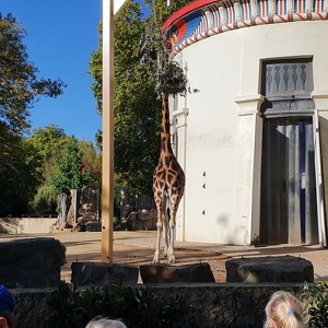 5B - Zoo Antwerpen